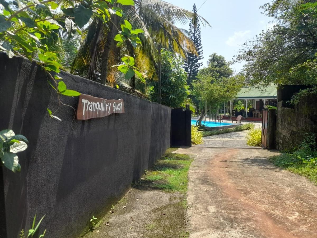 Tranquility Guest House Hikkaduwa Luaran gambar