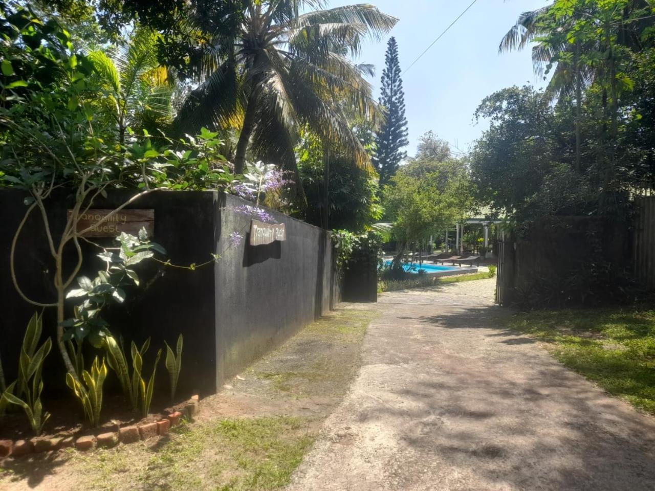 Tranquility Guest House Hikkaduwa Luaran gambar