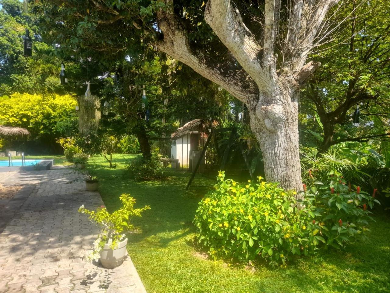 Tranquility Guest House Hikkaduwa Luaran gambar