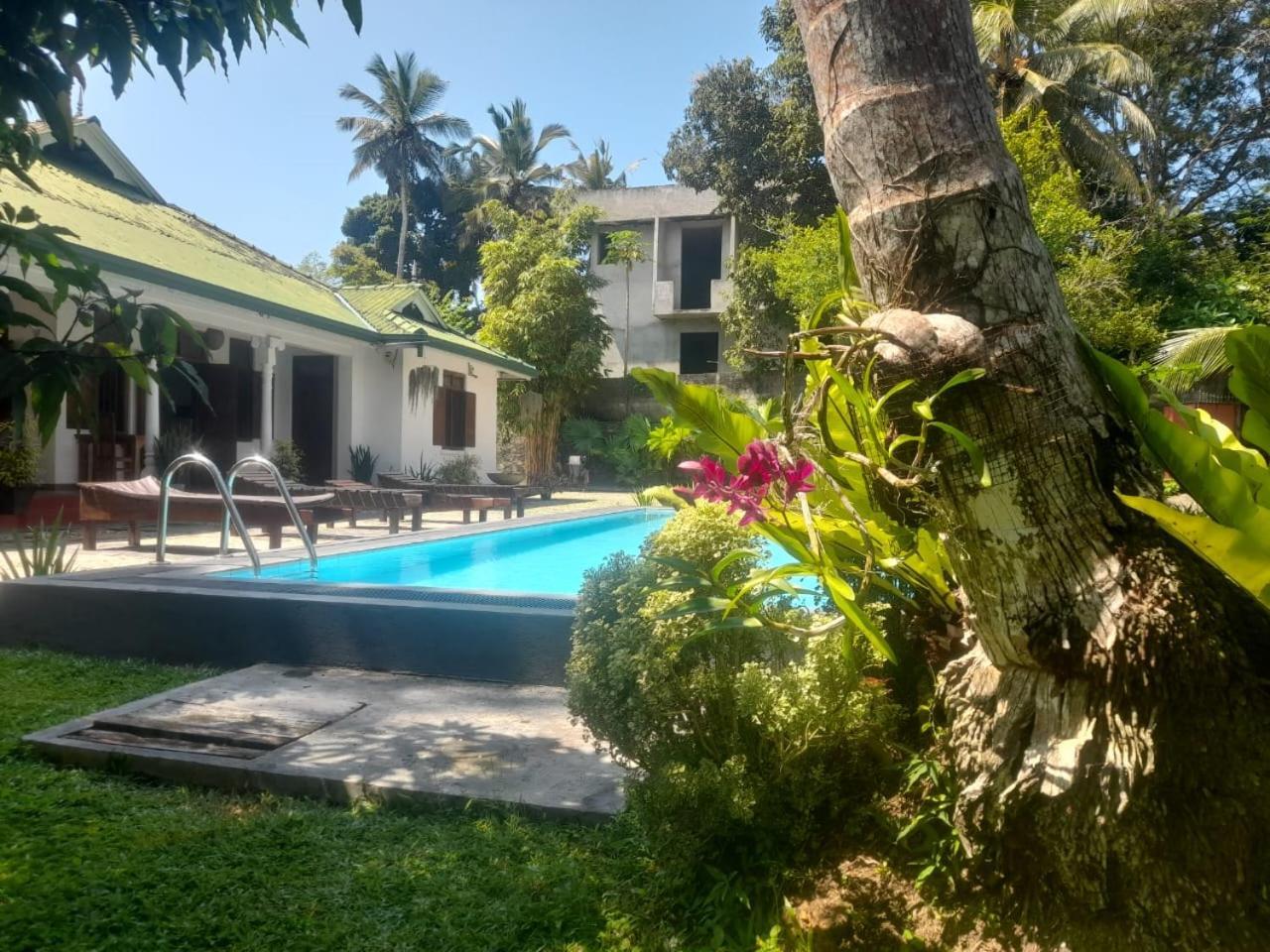 Tranquility Guest House Hikkaduwa Luaran gambar